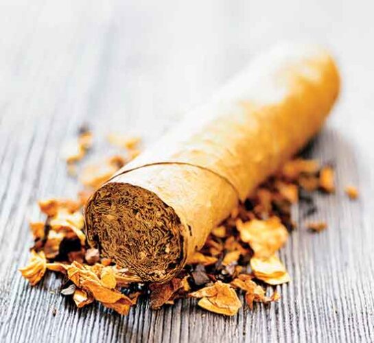 Uses for Tobacco in the Organic Garden Mother Earth Gardener